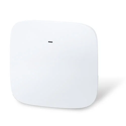 Indoor Access Point/Bridge