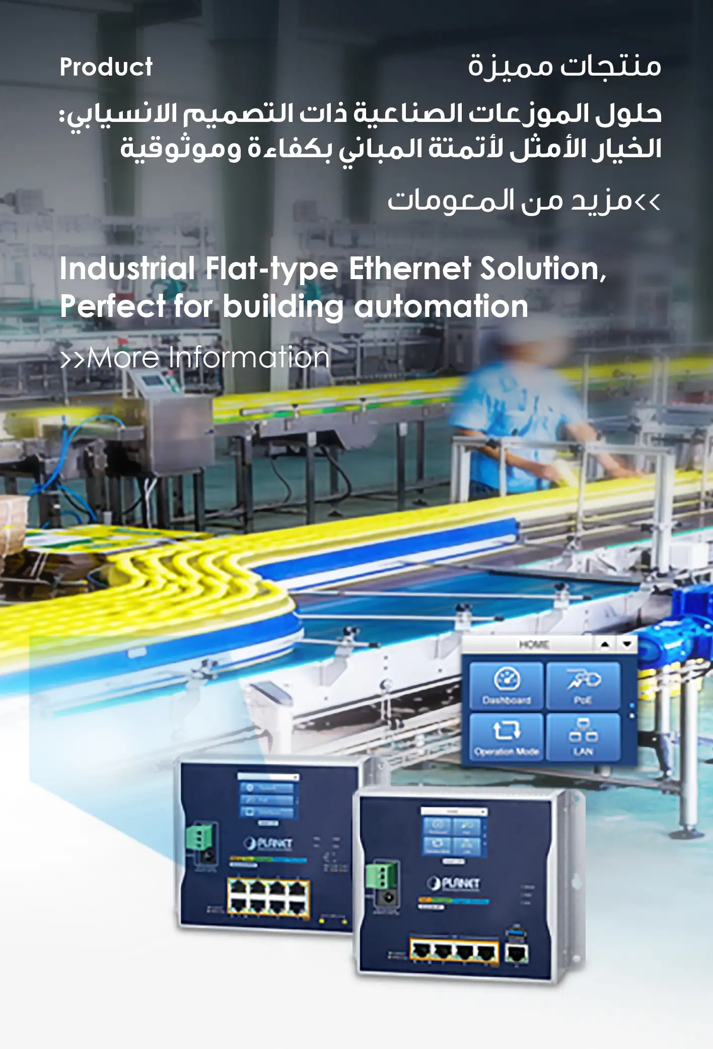 promote_product_Flat-type-01