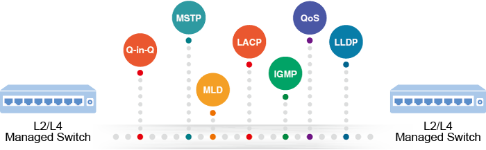 Common Robust Layer 2 Features